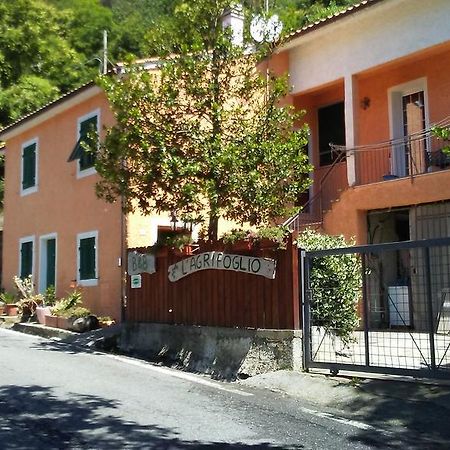 Magliolo Casa Vacanze L'Agrifoglio Bed & Breakfast エクステリア 写真