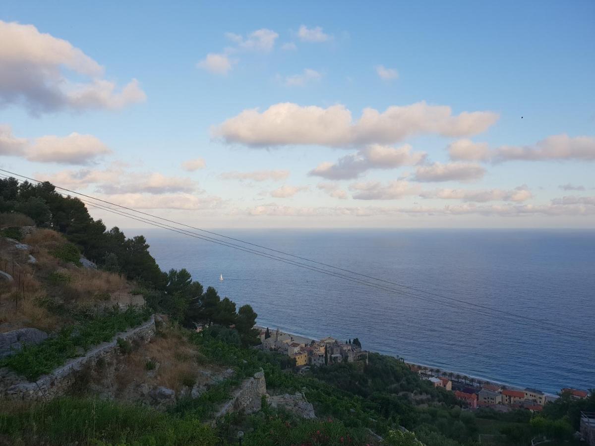 Magliolo Casa Vacanze L'Agrifoglio Bed & Breakfast エクステリア 写真