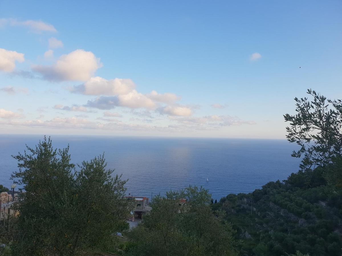 Magliolo Casa Vacanze L'Agrifoglio Bed & Breakfast エクステリア 写真