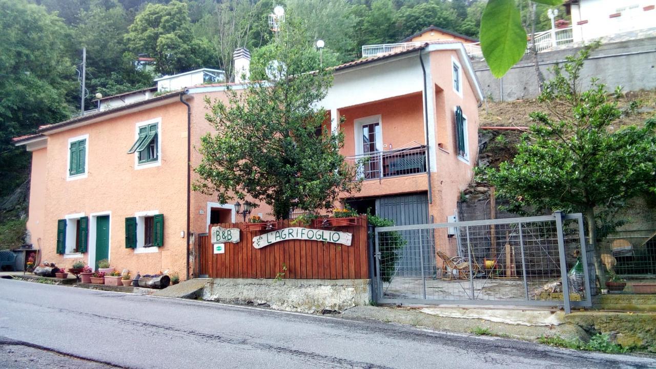 Magliolo Casa Vacanze L'Agrifoglio Bed & Breakfast エクステリア 写真