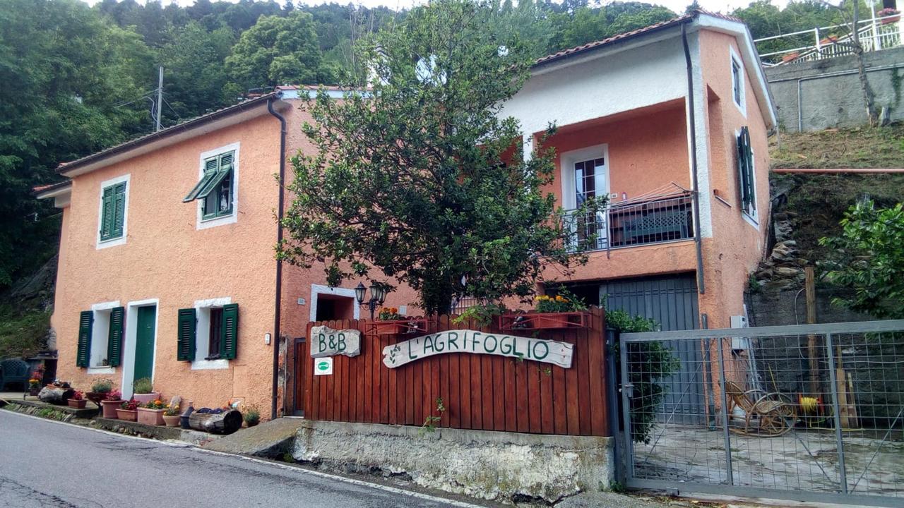 Magliolo Casa Vacanze L'Agrifoglio Bed & Breakfast エクステリア 写真